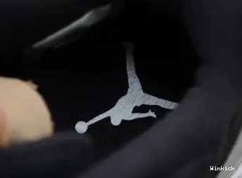 Air Jordan 11 Low “Barons” 528895-010 0702